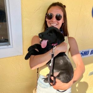 Meet your Posher, Clio